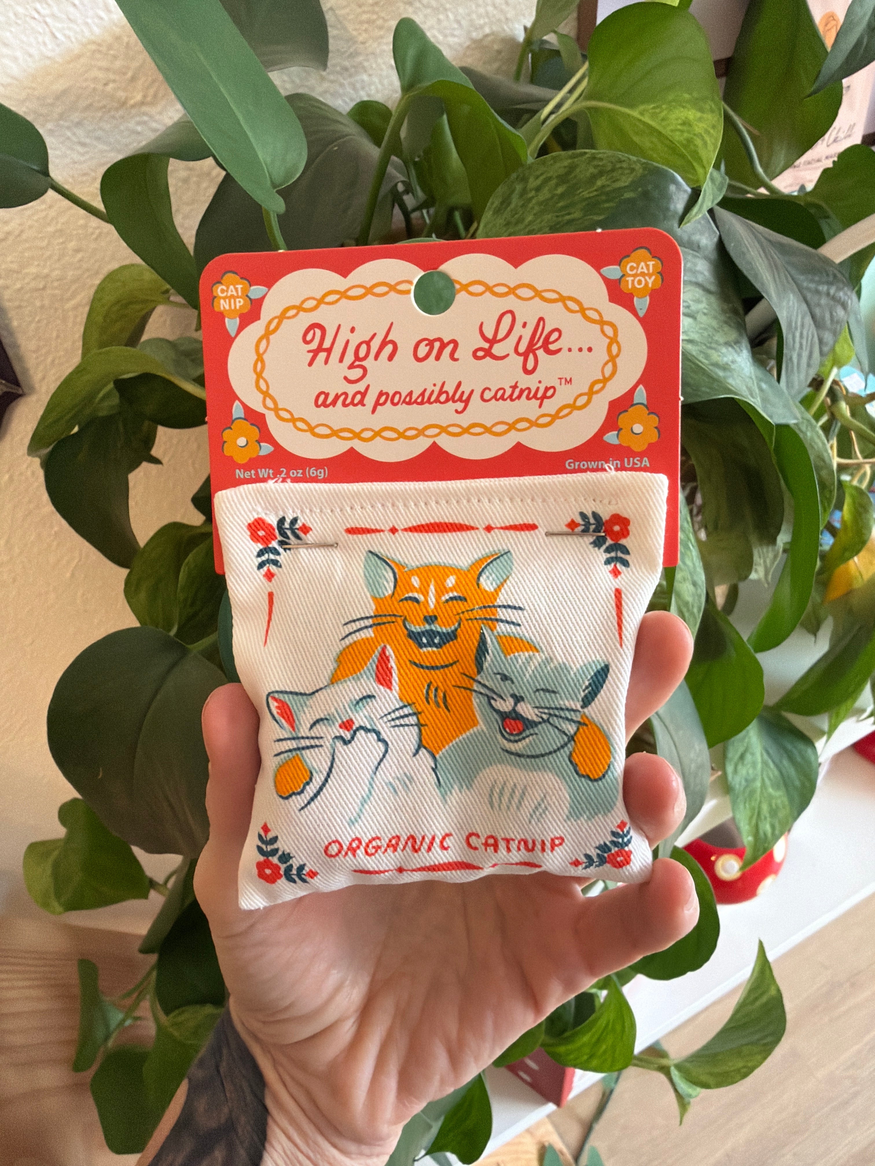High On Life Catnip