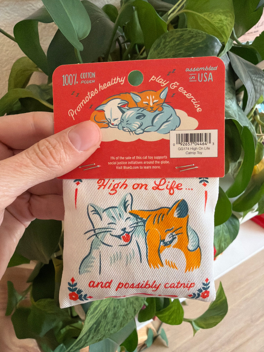 High On Life Catnip