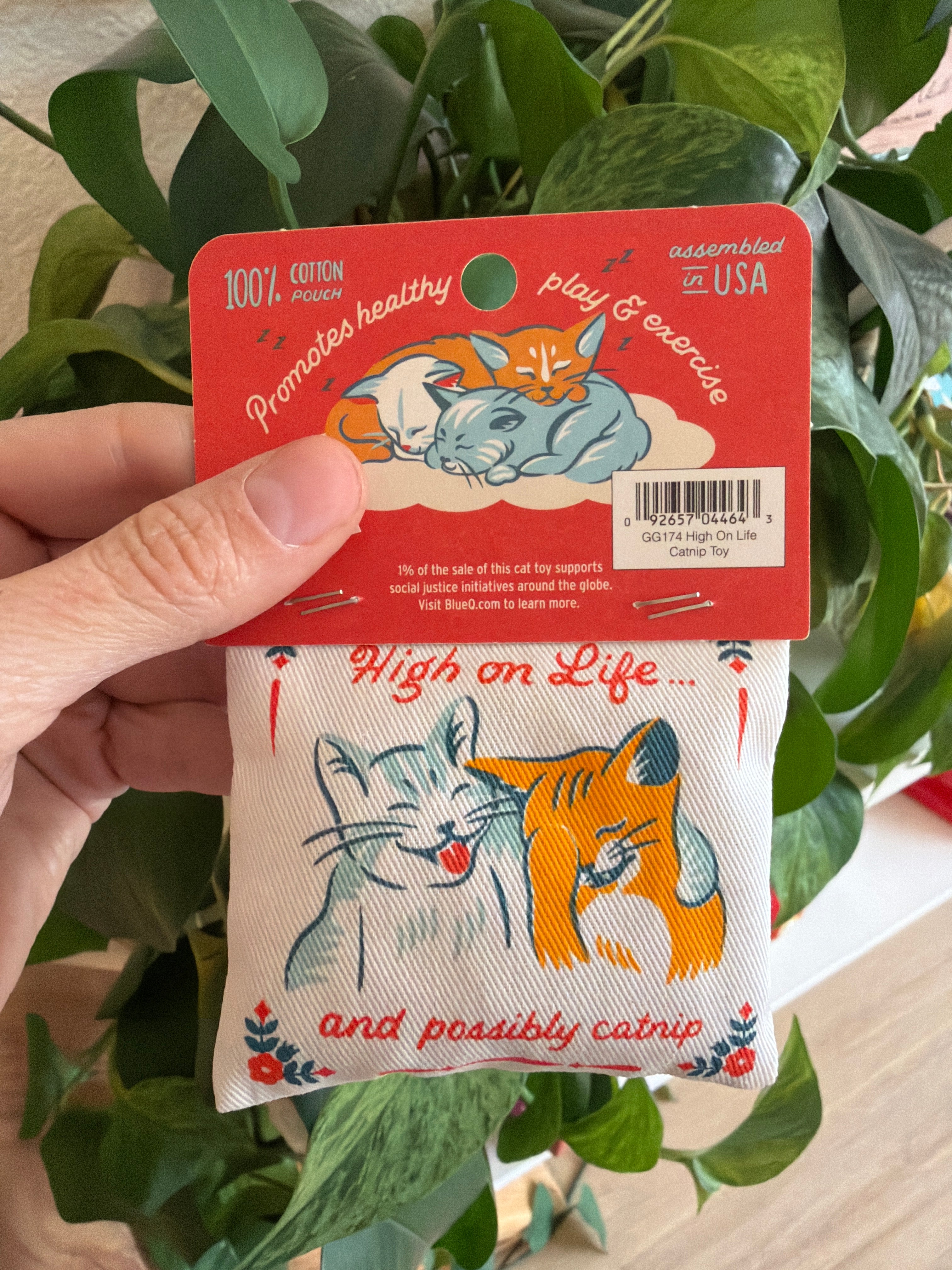 High On Life Catnip