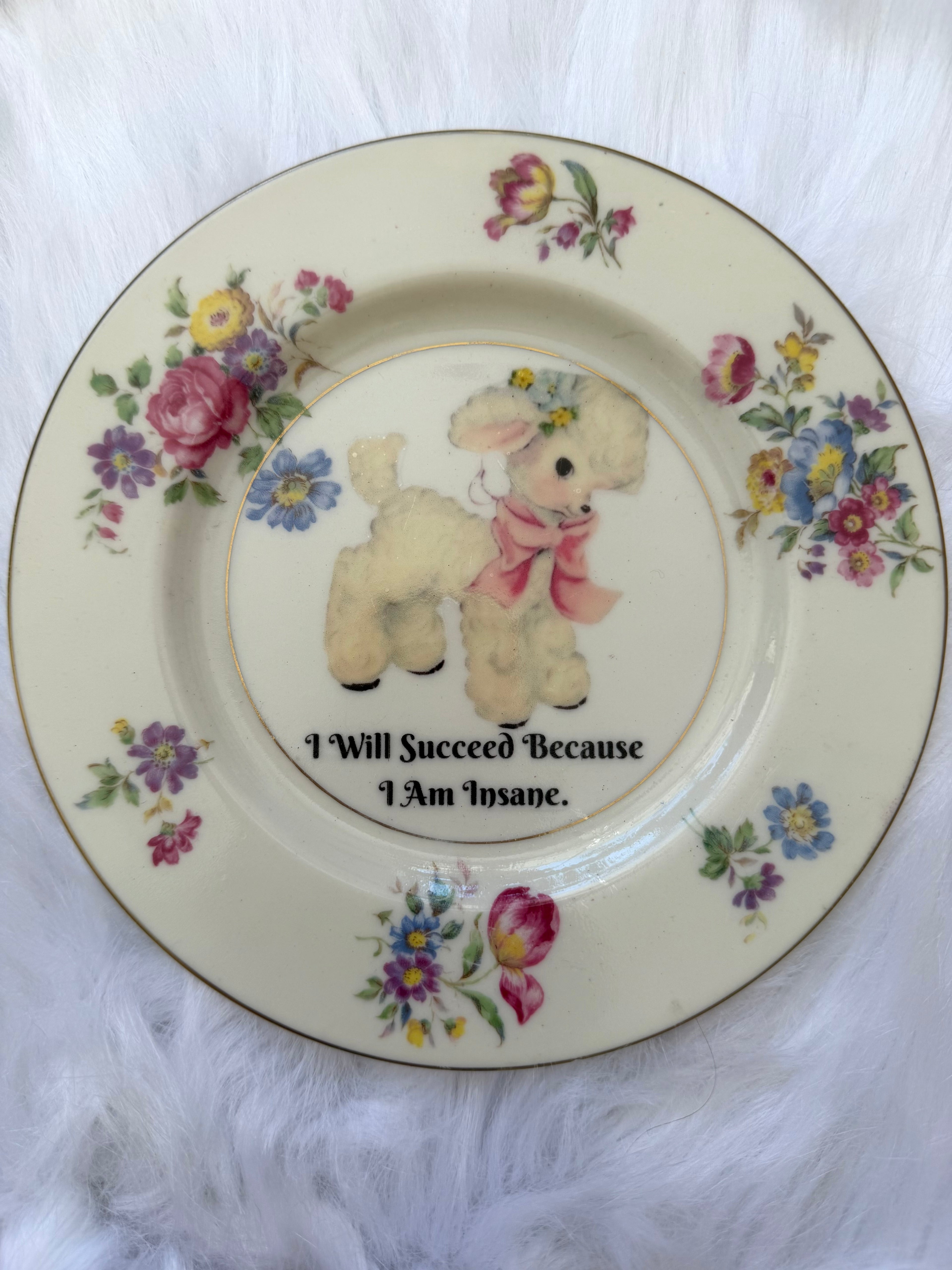 I Will Succeed Because I Am Insane Decorative Plate