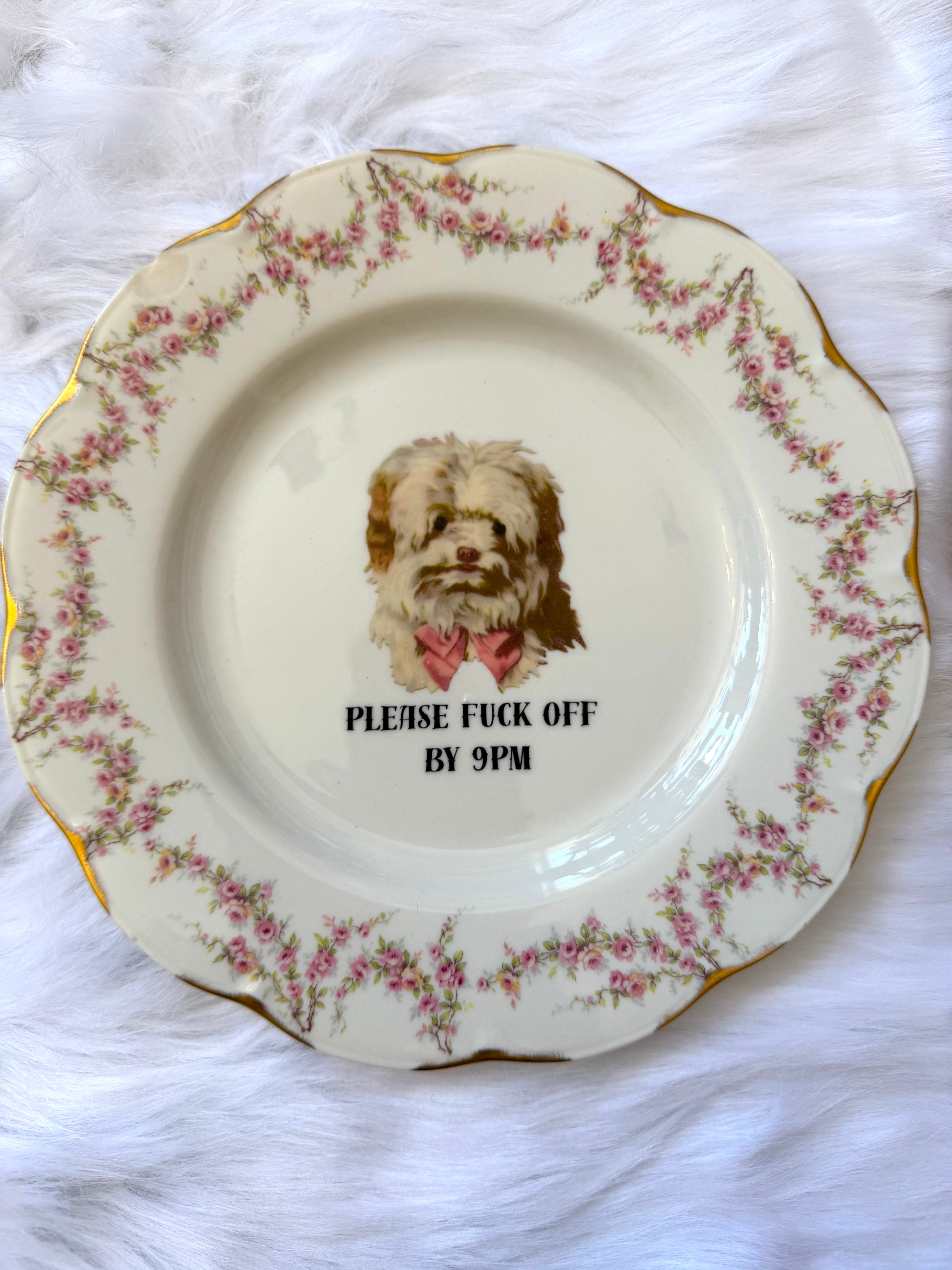 Please Fuck Off By 9 PM Decorative Plate