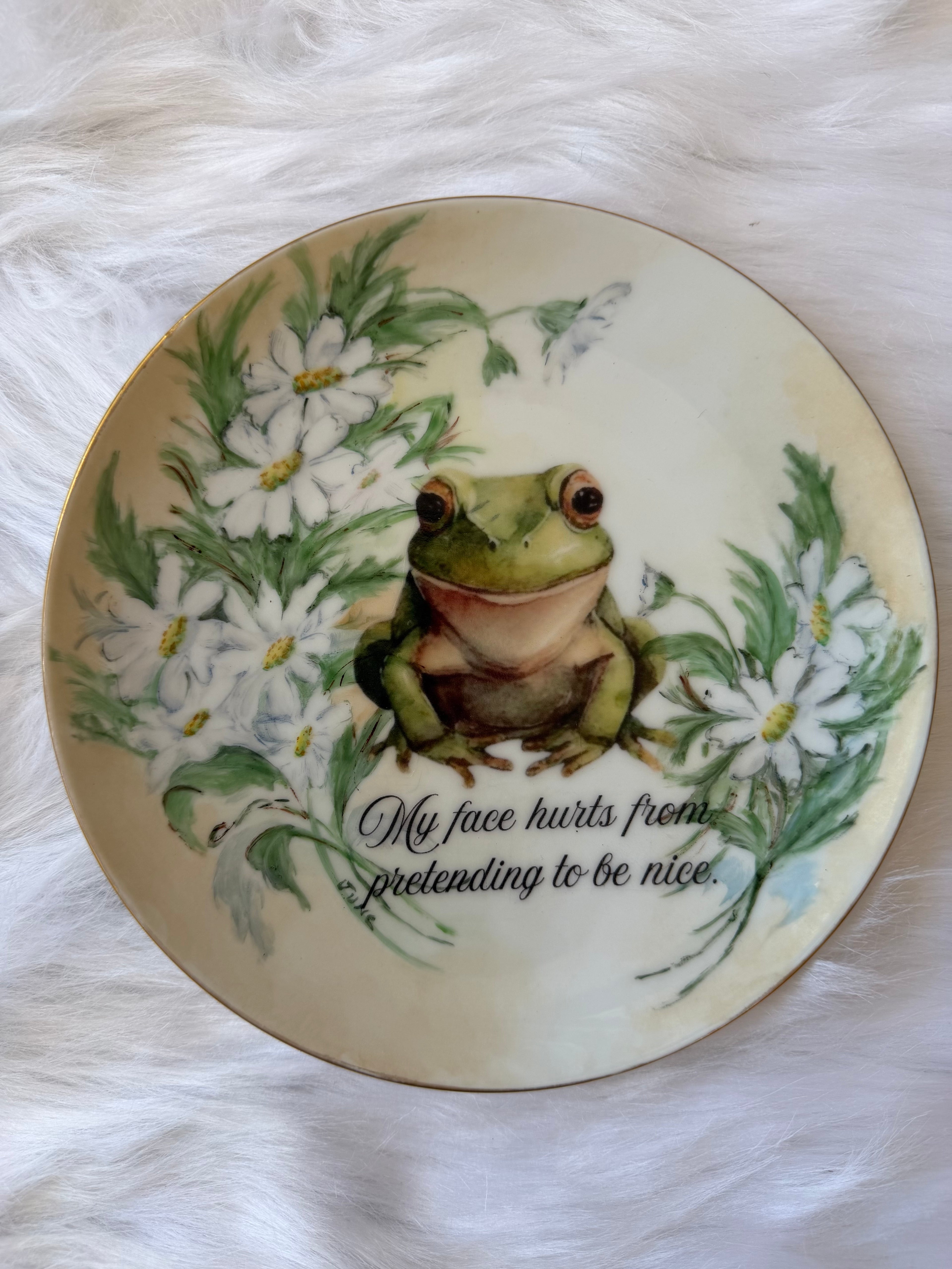 My Face Hurts From Pretending To Be Nice Decorative Plate