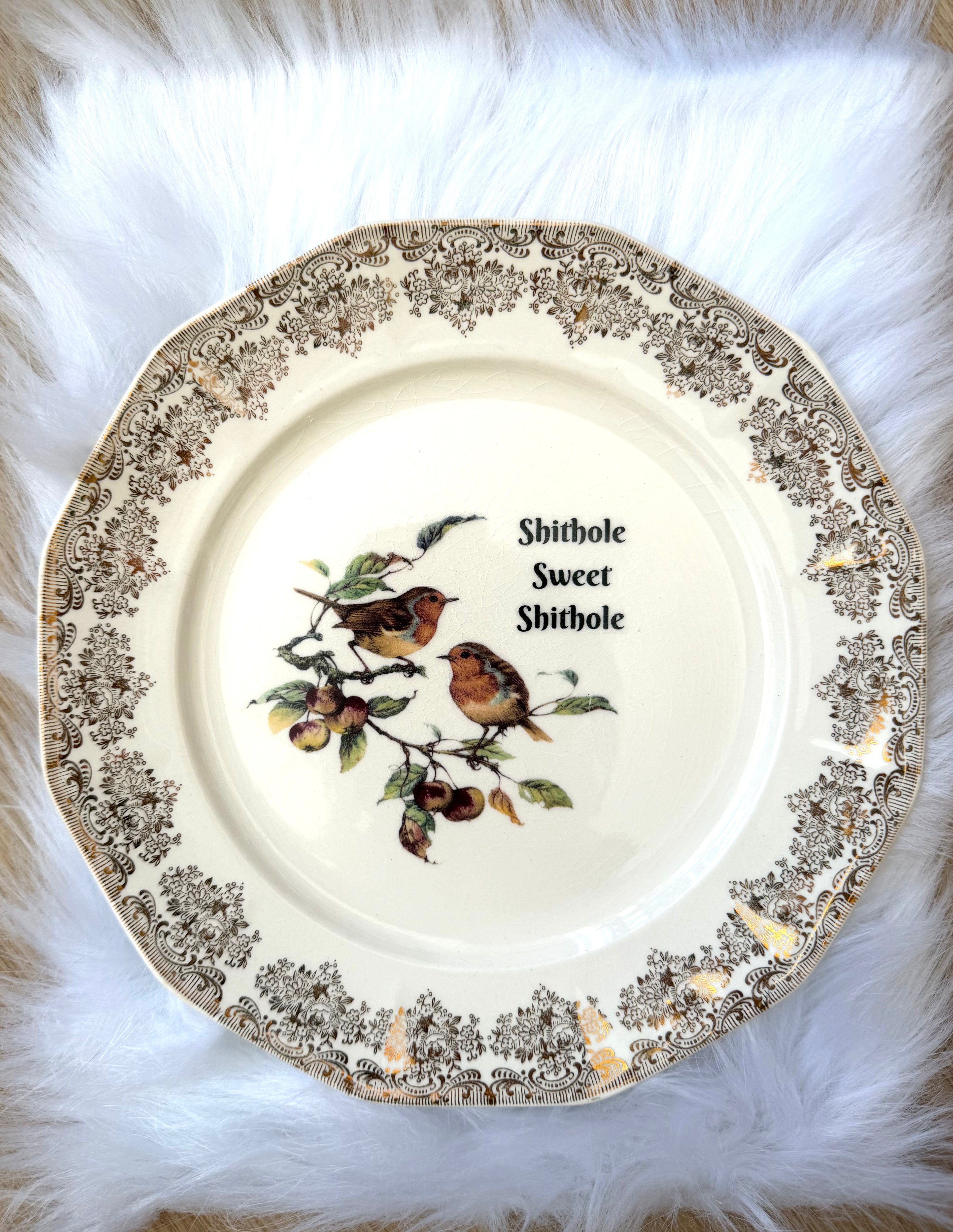 Shithole Sweet Shithole Decorative Plate