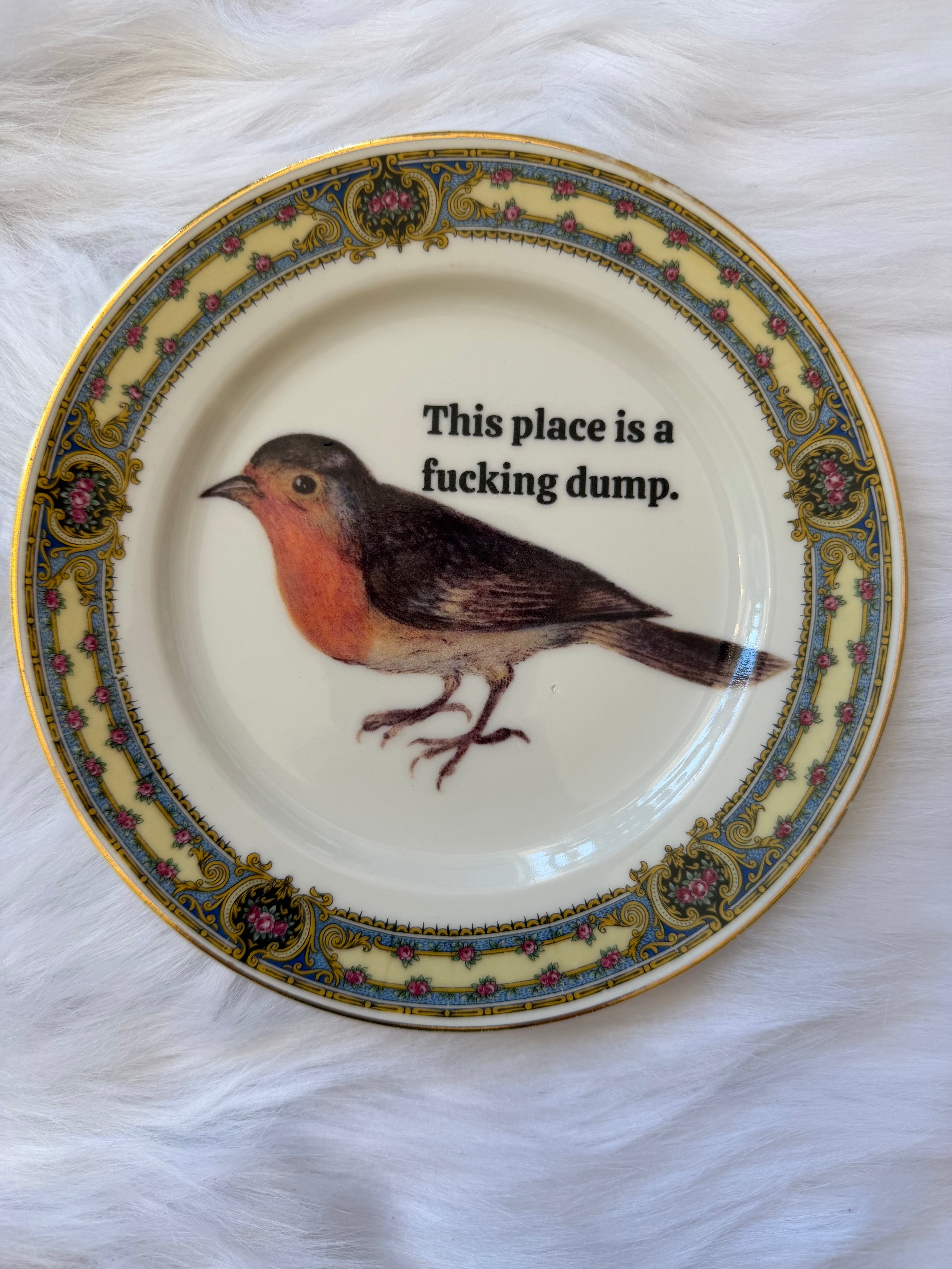 This Place is a Fucking Dump Decorative Plate