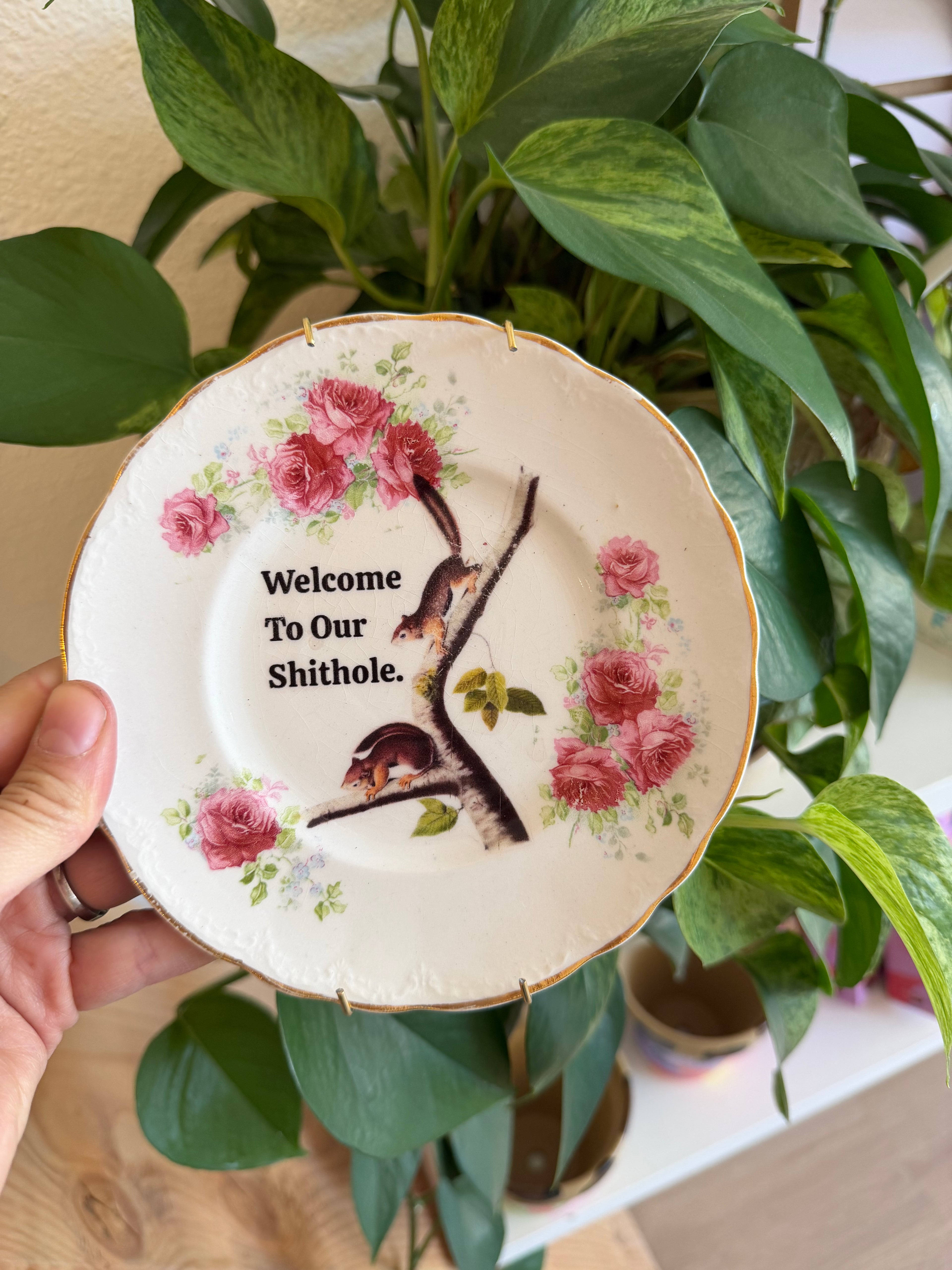 Welcome To Our Shithole Squirrel Antique Decorative Plate