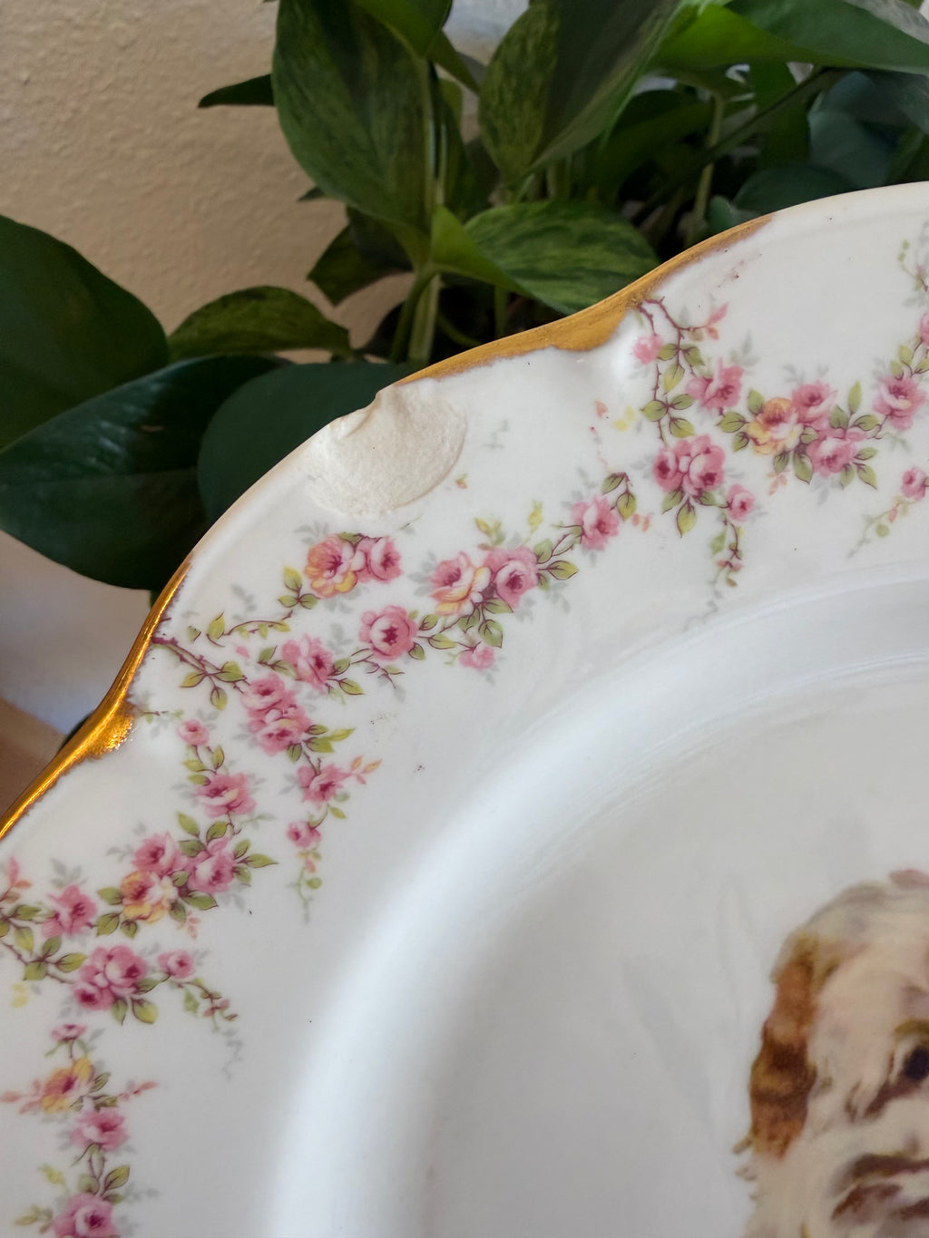 Please Fuck Off By 9 PM Decorative Plate