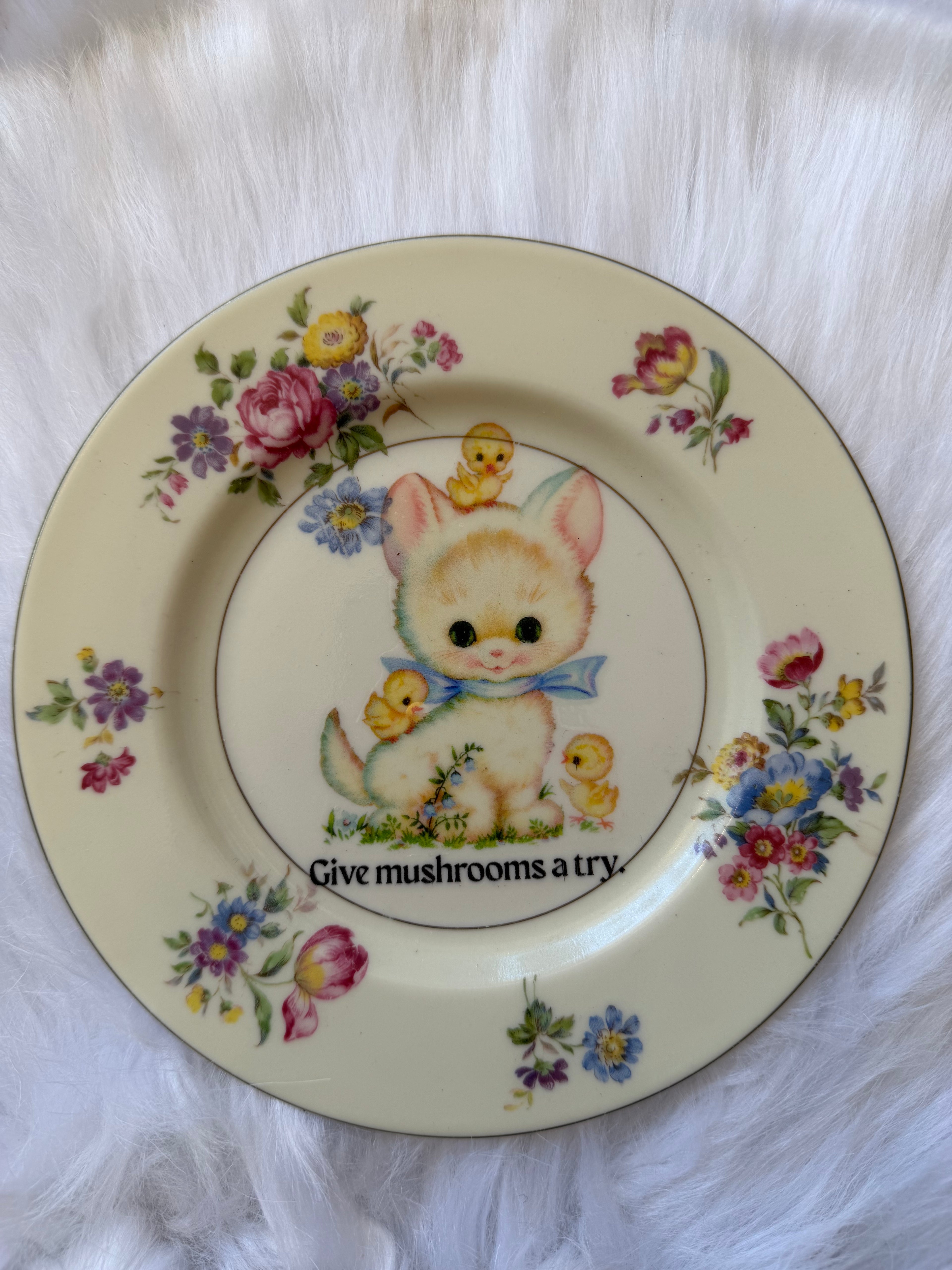 Give Mushrooms A Try Decorative Dish