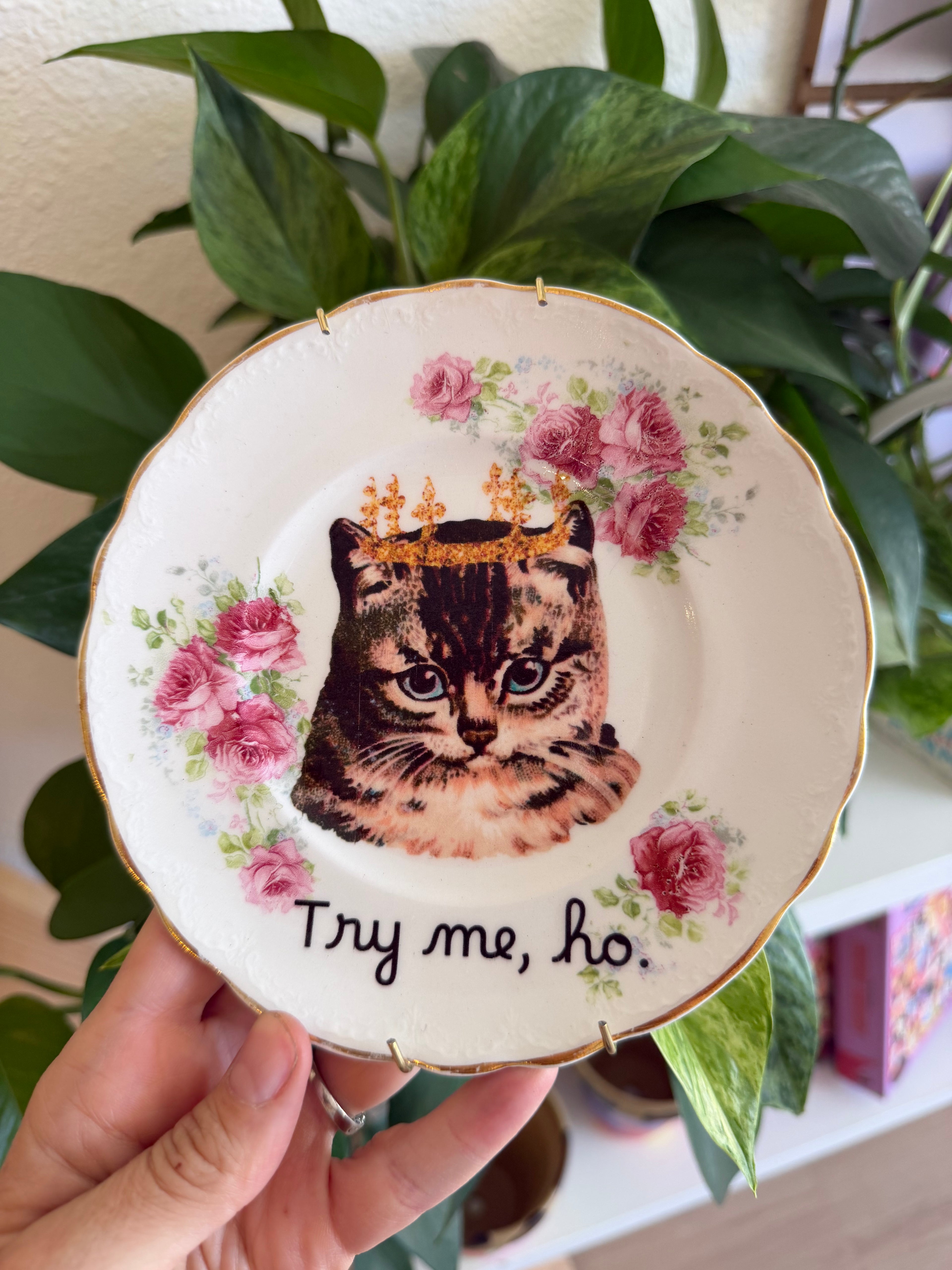 Try Me, Ho Decorative Dish (Pink Roses)