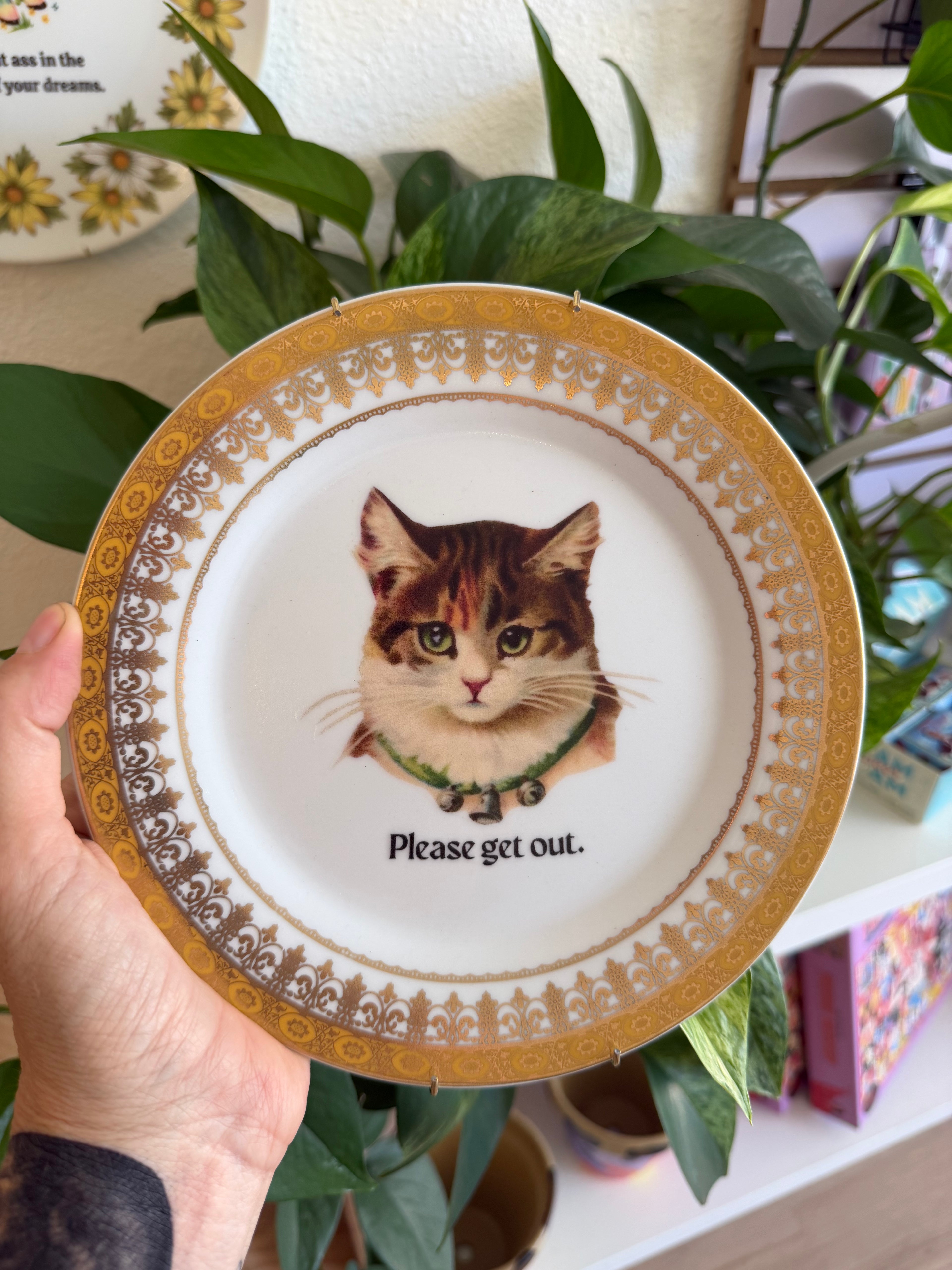 Get Out Decorative Cat Dish