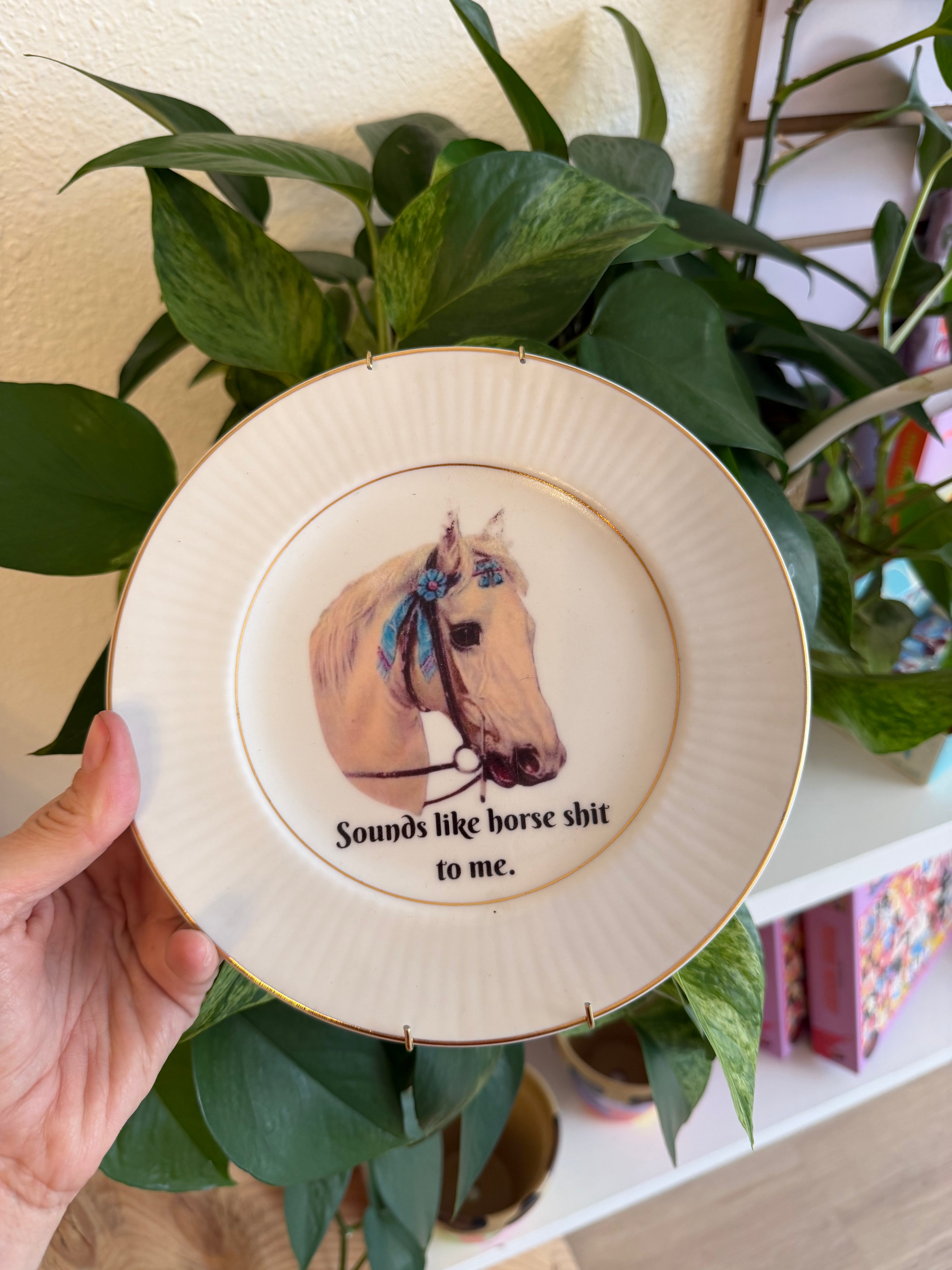 Sounds Like Horse Shit To Me Decorative Plate