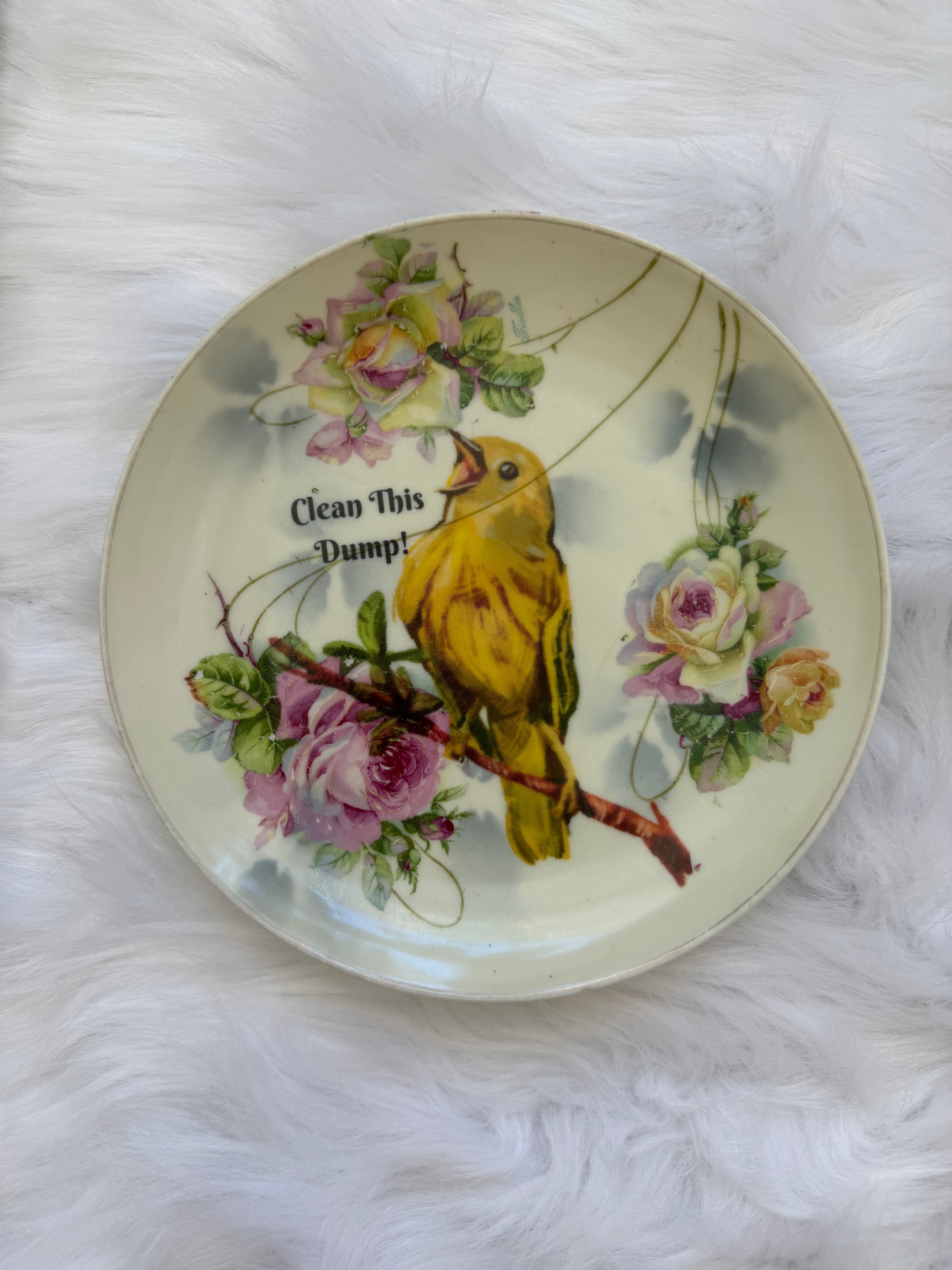 Clean This Dump Decorative Plate