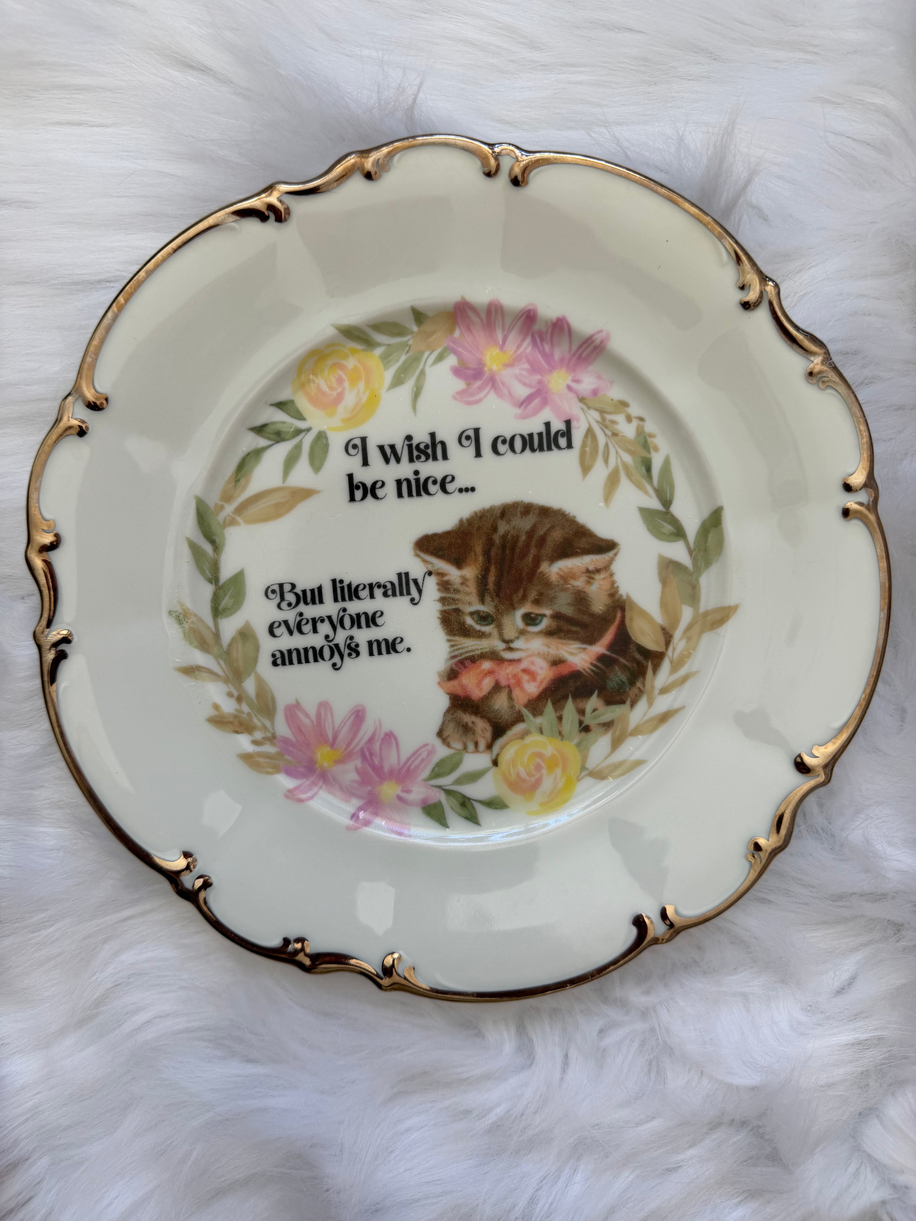 I Wish I Could Be Nice Decorative Plate