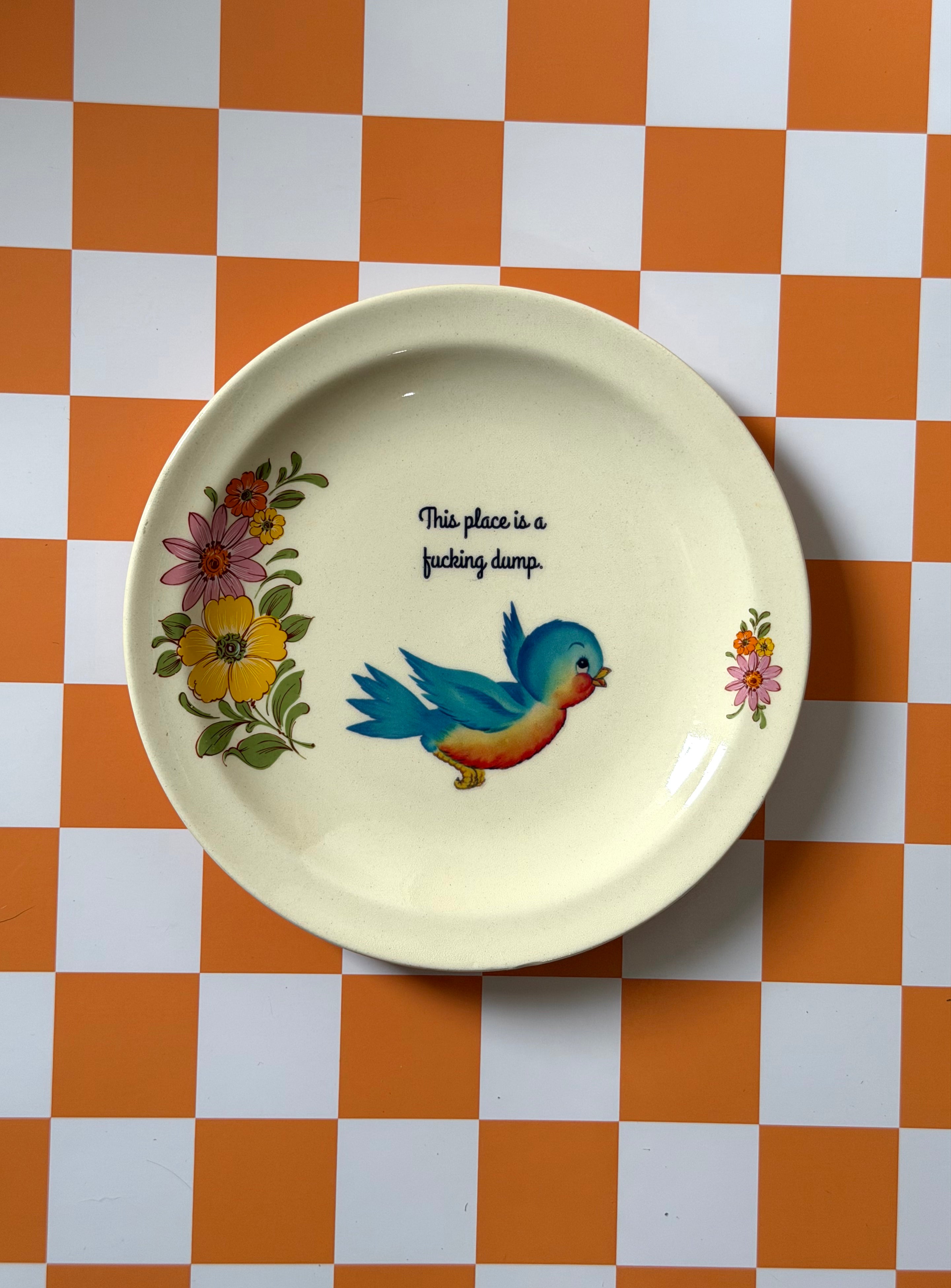 This Place Is A Fucking Dump Vintage Decorative Plate