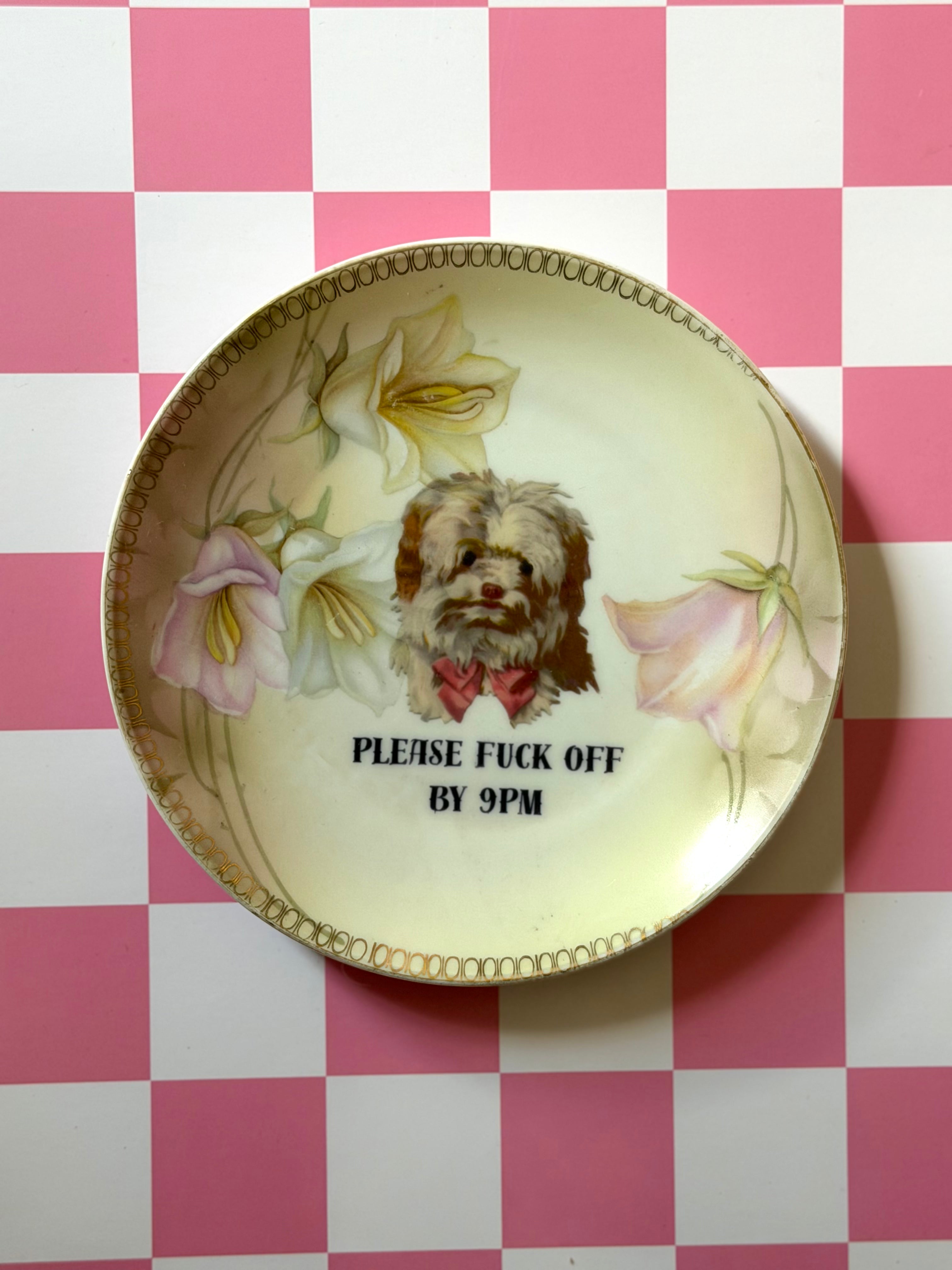 Fuck Off By 9 PM Vintage Decorative Plate