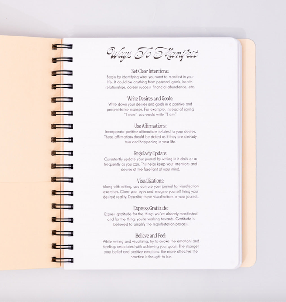 Manifestation Journal