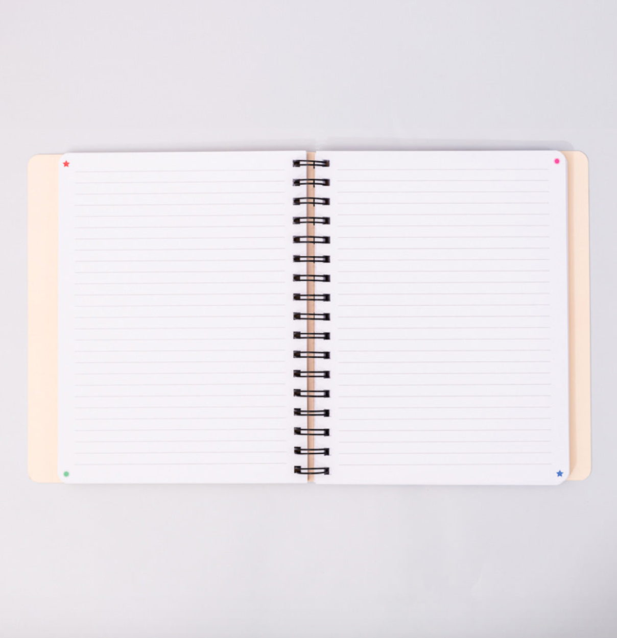Manifestation Journal