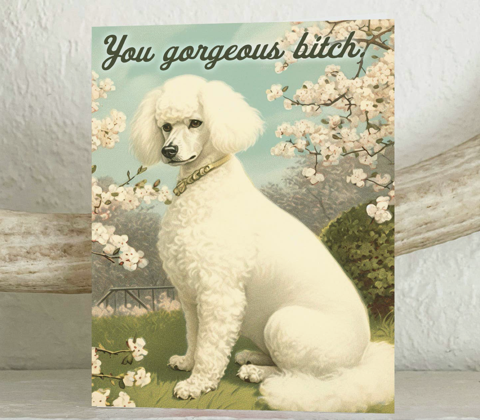 You Gorgeous Bitch Greeting Card