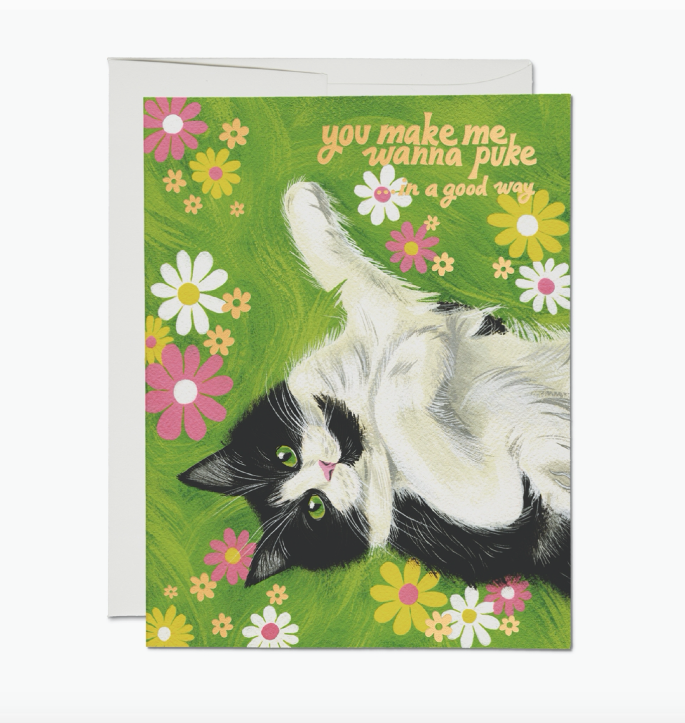 Nice Kitty Greeting Card