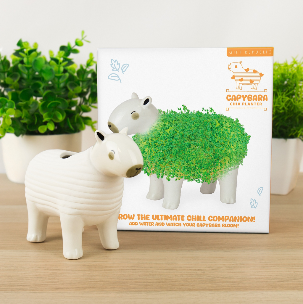 Capybara Chia Planter
