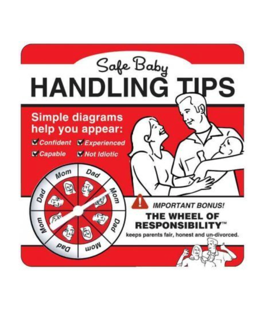 Safe Baby Handling Tips Book