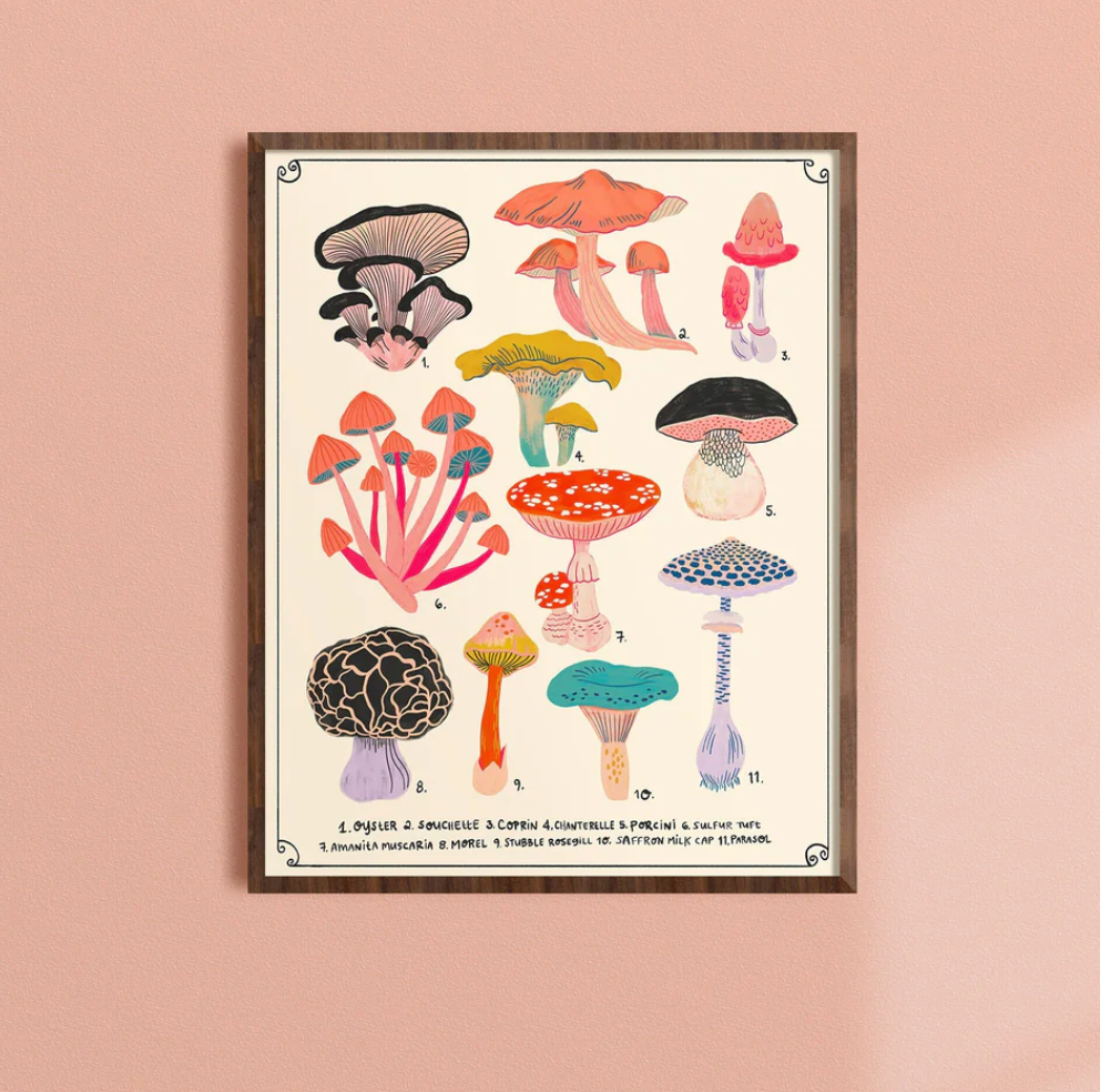 Mushroom Chart 11x14 Art Print