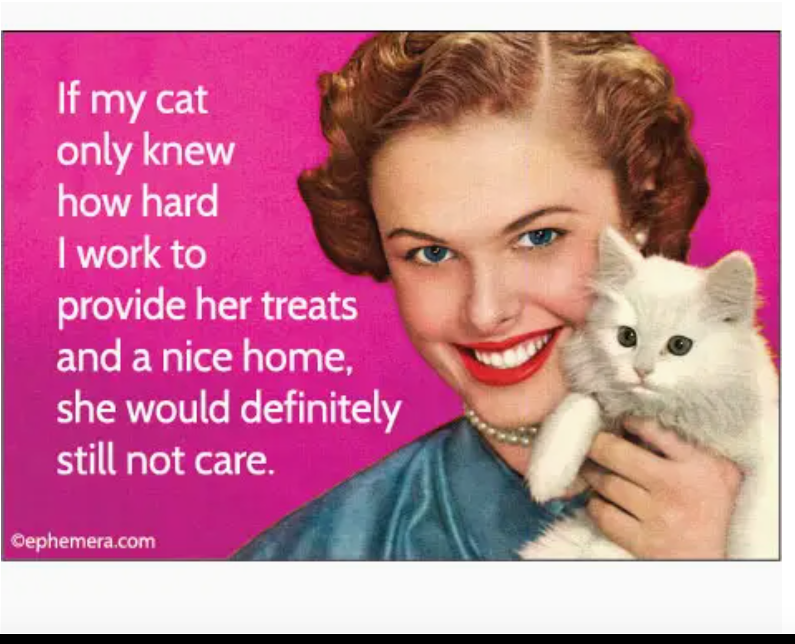 If My Cat Knew Magnet