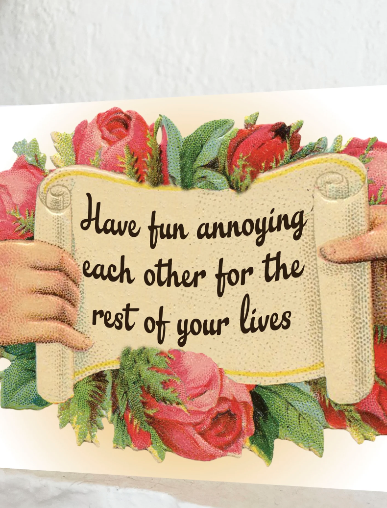 Have Fun Annoying Each Other Greeting Card