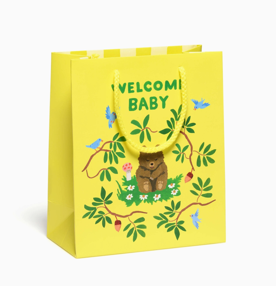 Baby Gift Bag