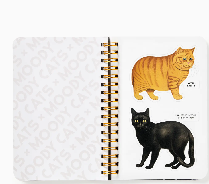 Moody Cats A Sticker Book