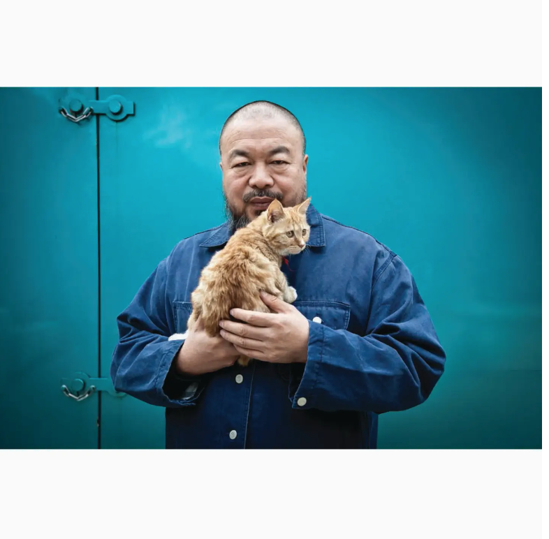 Artists & Their Cats