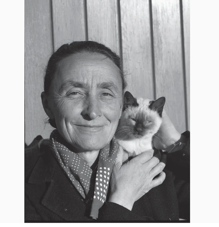 Artists & Their Cats