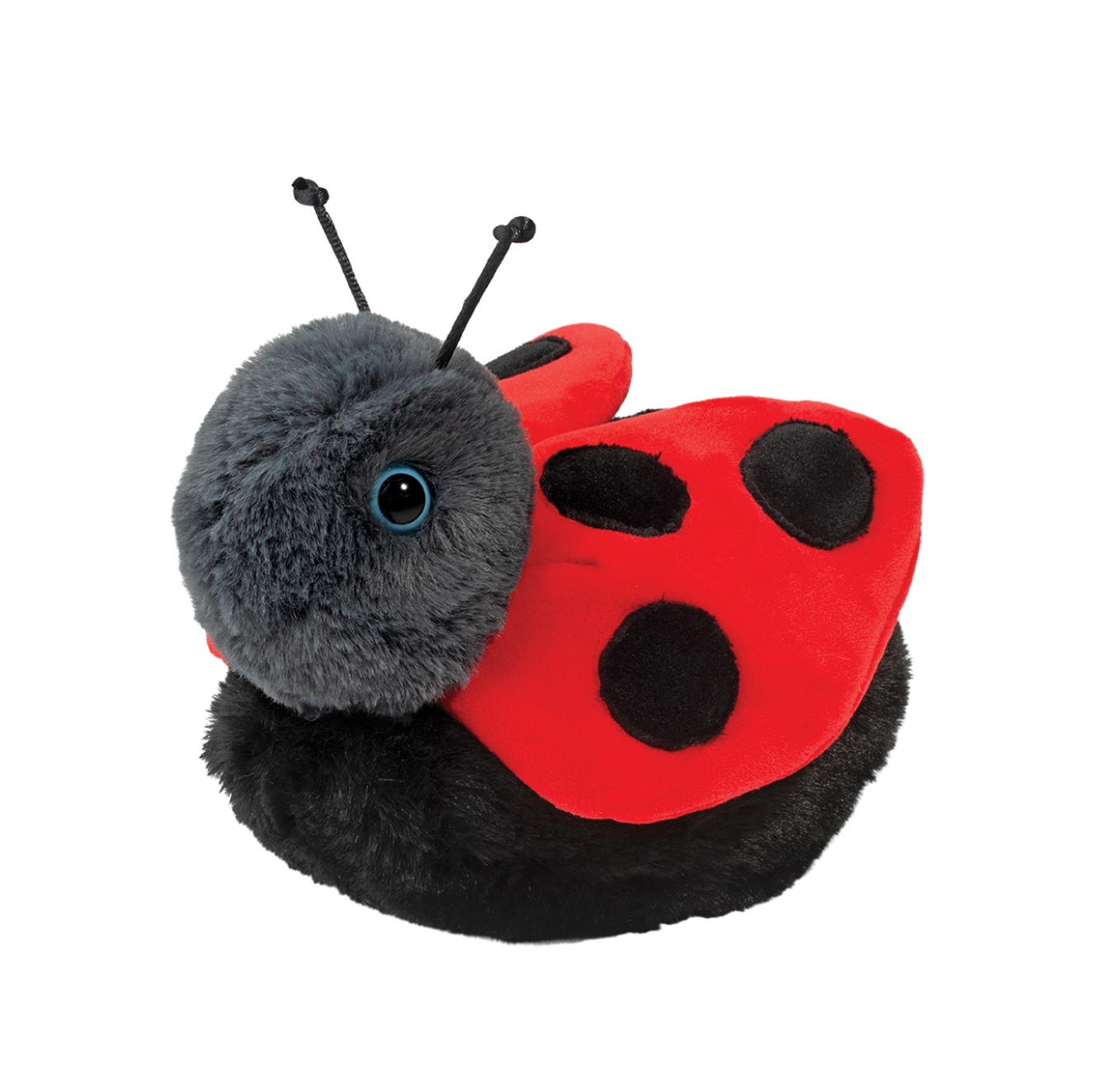Bert Ladybug