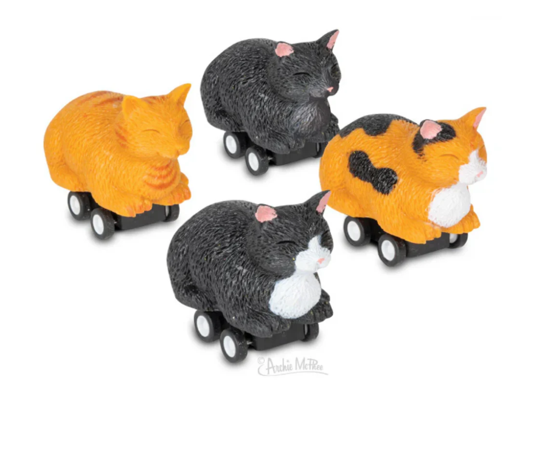 Racing Bread Loaf Cats - Black Kitty