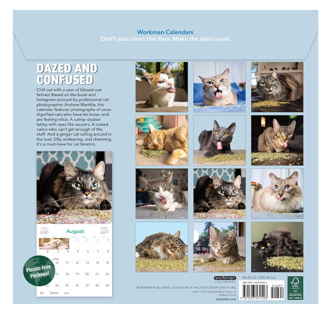 Cats on Catnip 2026 Wall Calendar