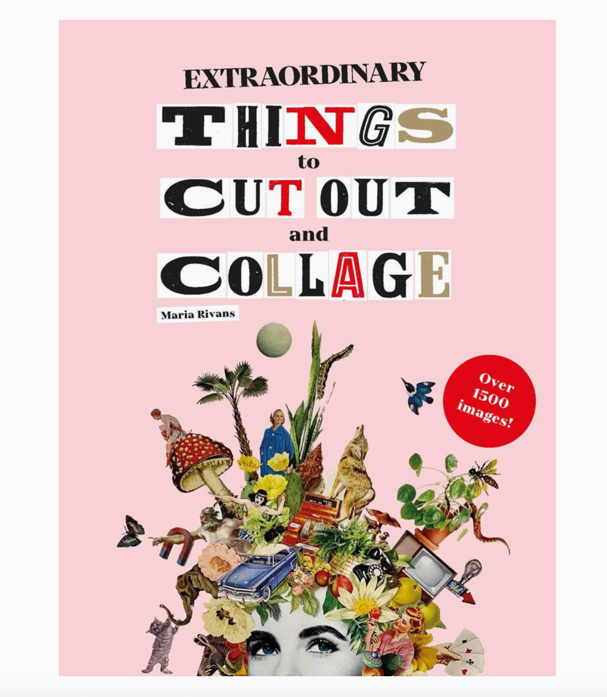 Extraordinary Things To Cut Out & Collage