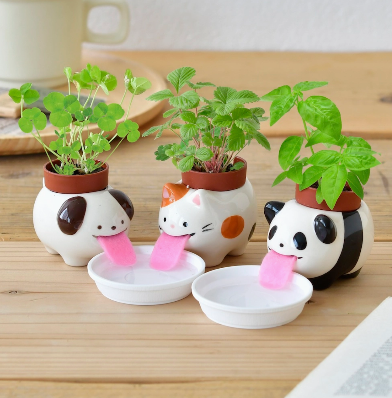 Peropon Animal Plant-Panda