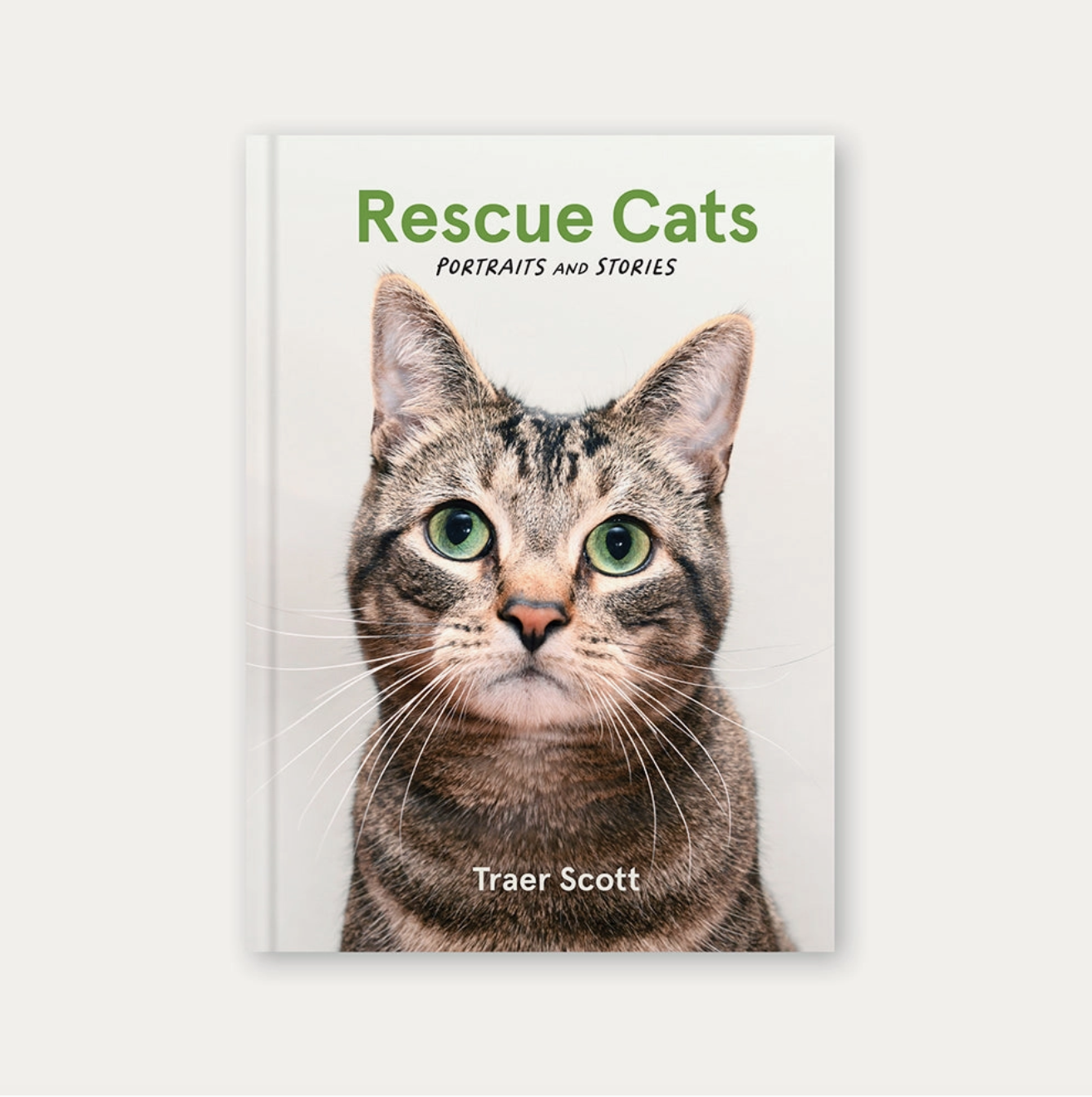 Rescue Cats Portraits & Stories