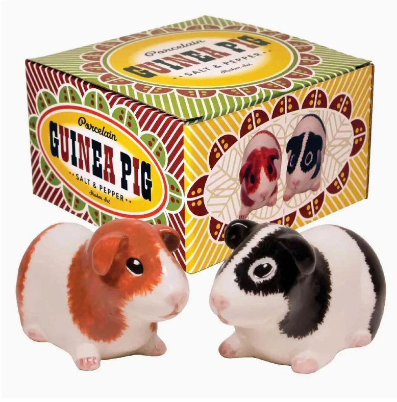 Guinea Pig Salt & Pepper Shakers