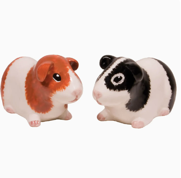Guinea Pig Salt & Pepper Shakers