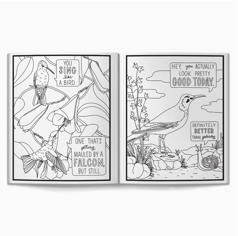 Salty Birds Coloring Book