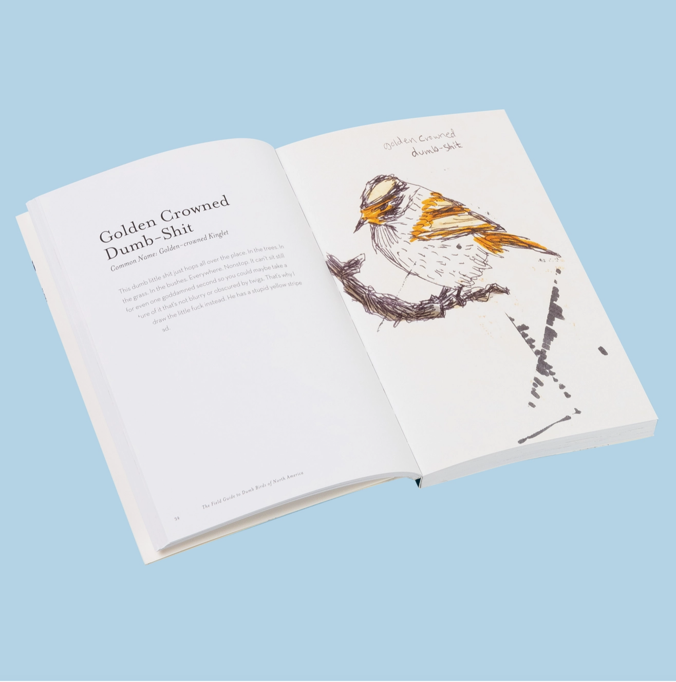 The Field Guide to Dumb Birds of North America