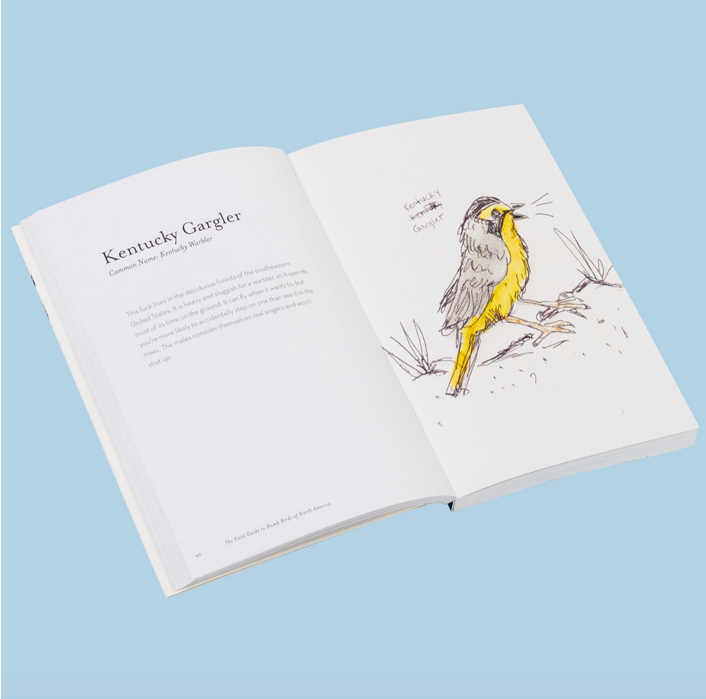 The Field Guide to Dumb Birds of North America