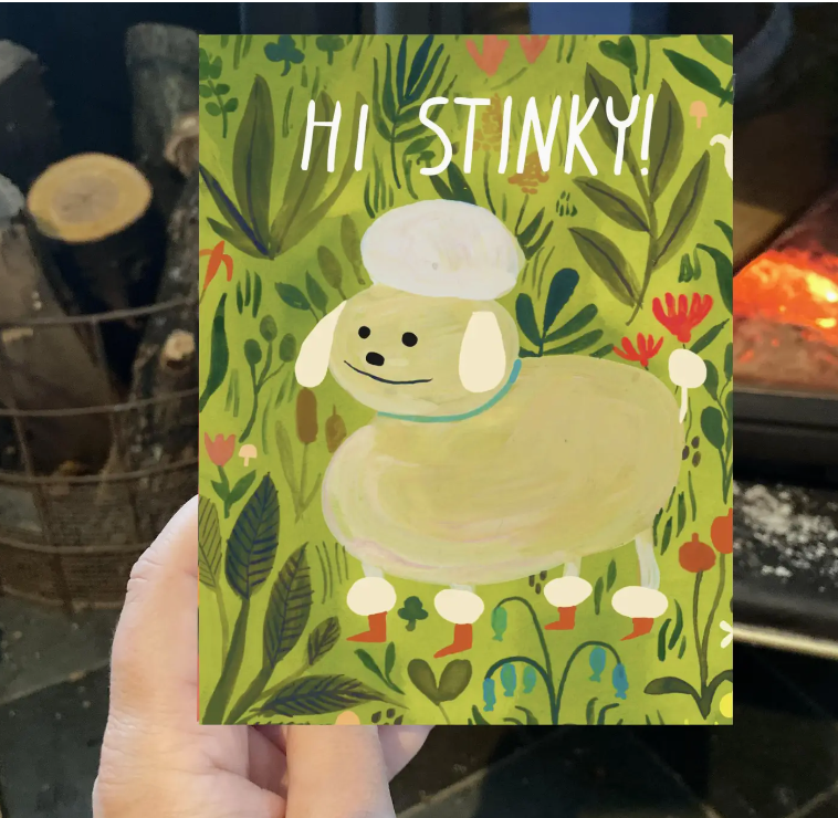 Hi Stinky Greeting Card