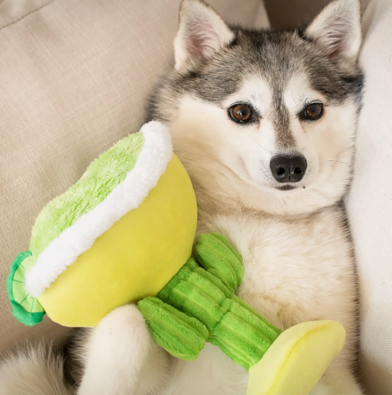 Margarita Loco Dog Toy
