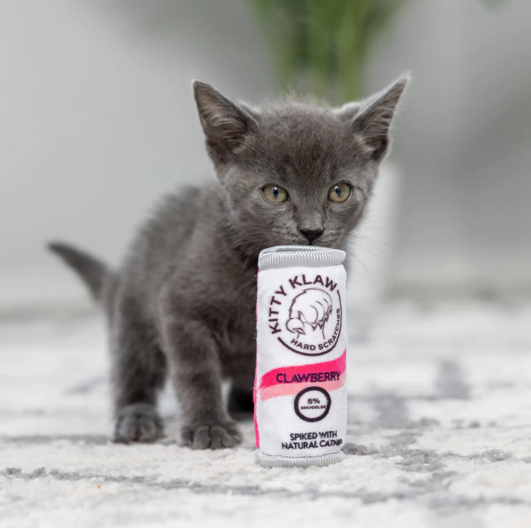 Kitty Klaw Cat Toy (Klawberry)