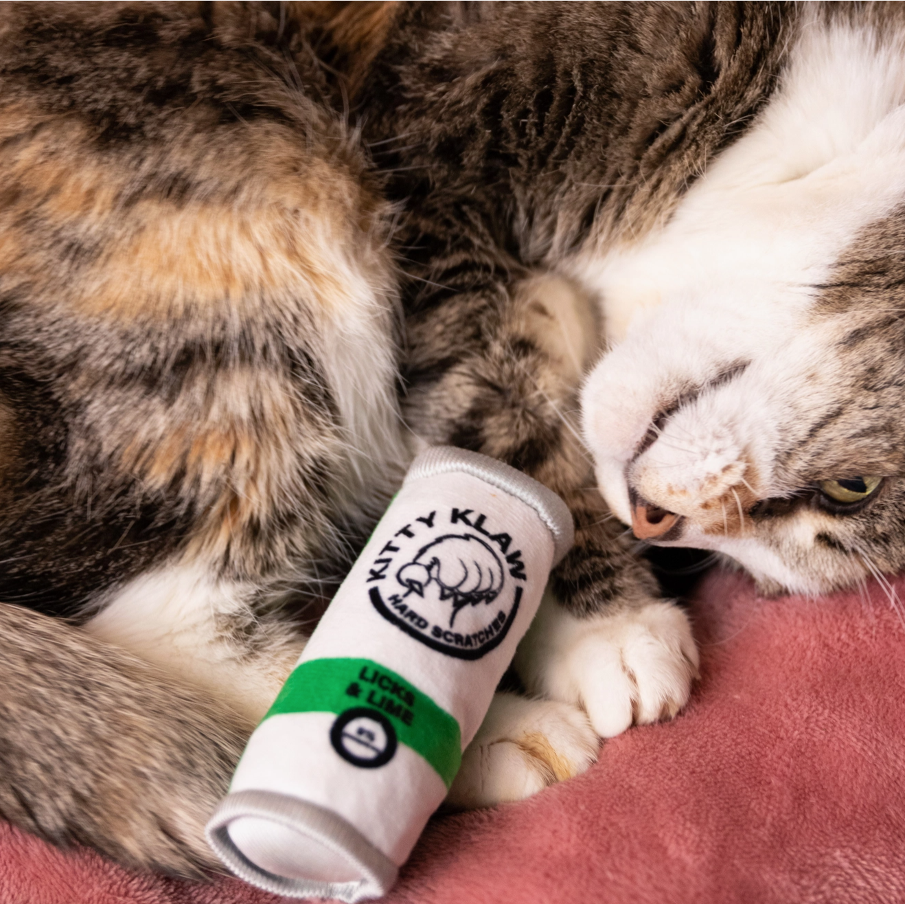 Kitty Klaw Cat Toy (Licks & Lime)