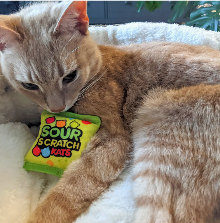 Sour Scratch Kats Cat Toy