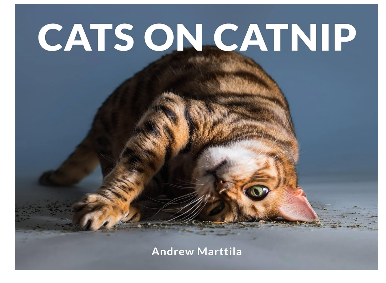 Cats On Catnip Hardcover Book