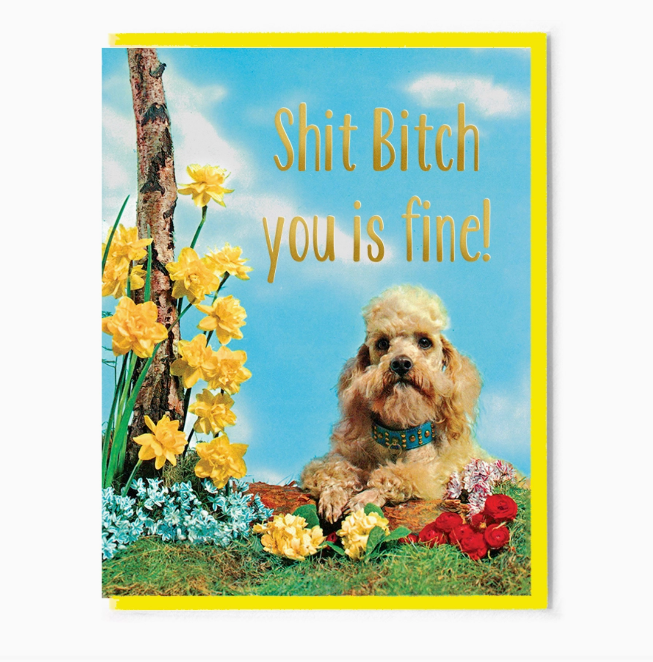 Shit Bitch You is Fine Greeting Card