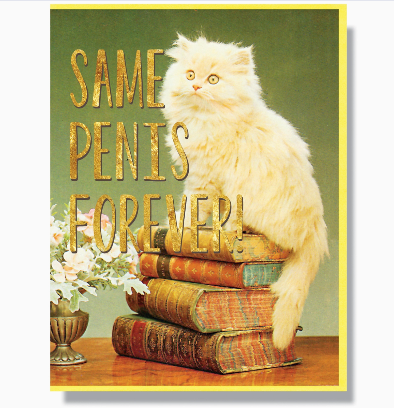 Same Penis Forever Greeting Card
